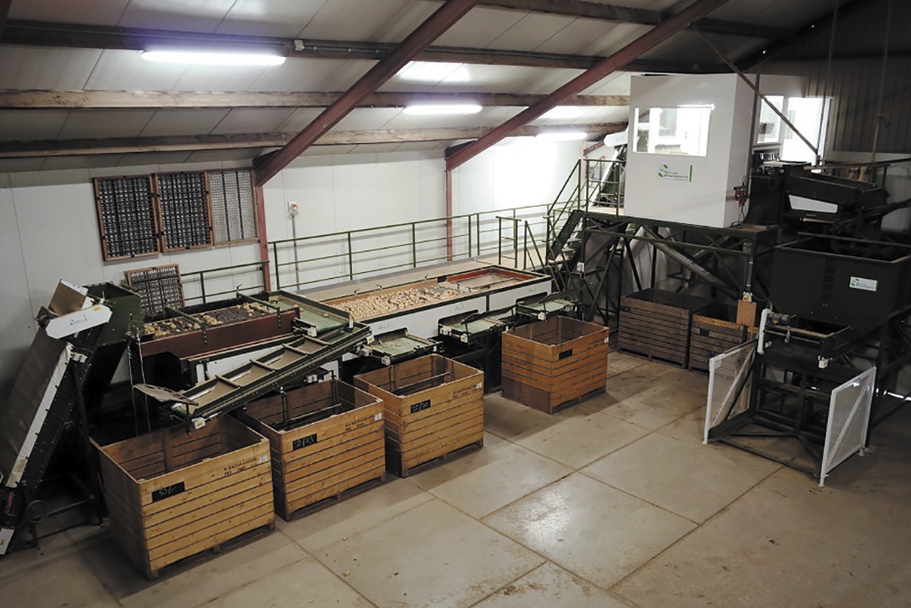 Station de triage et calibrage  pommes de terre - Schouten