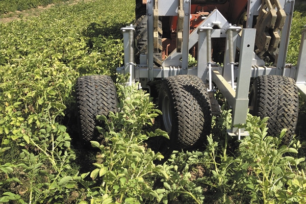 roule buttes agronomic